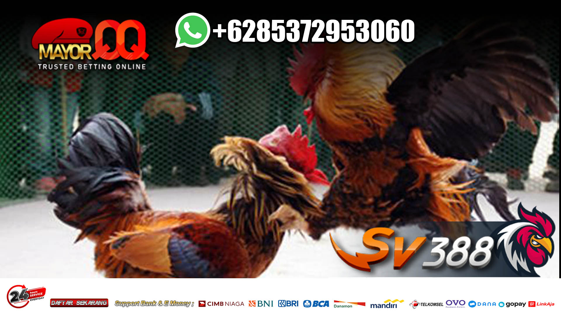 Sabung Ayam Online Seperti Permainan Baccarat Online